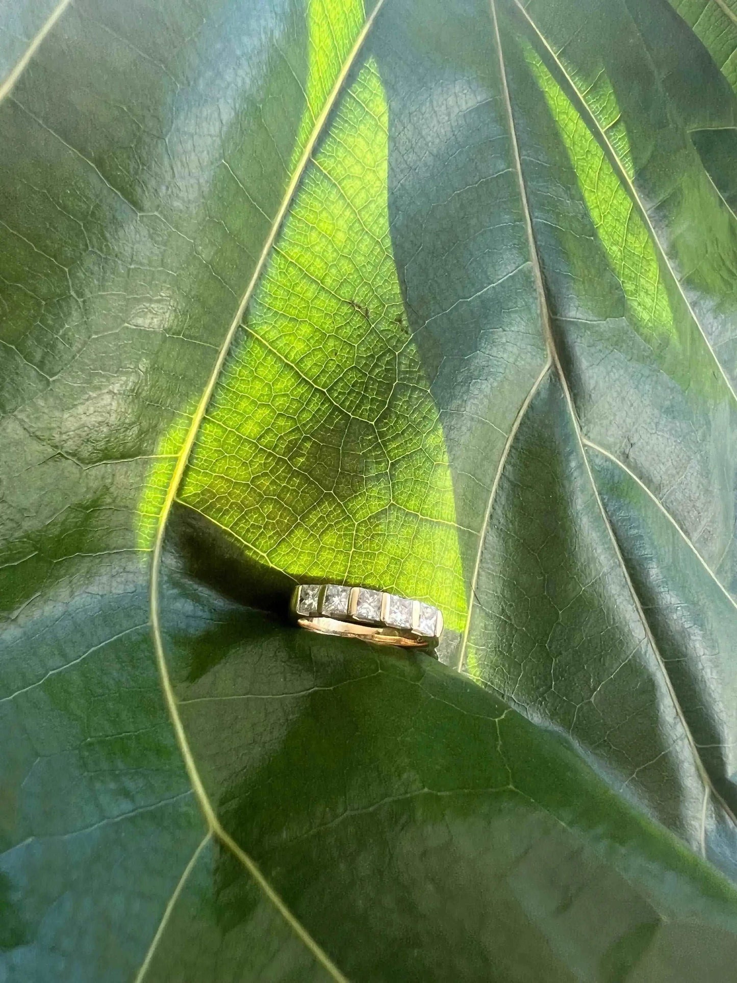 Princess Cut 5 Stone White Gold Diamond Ring - Bodycouturee